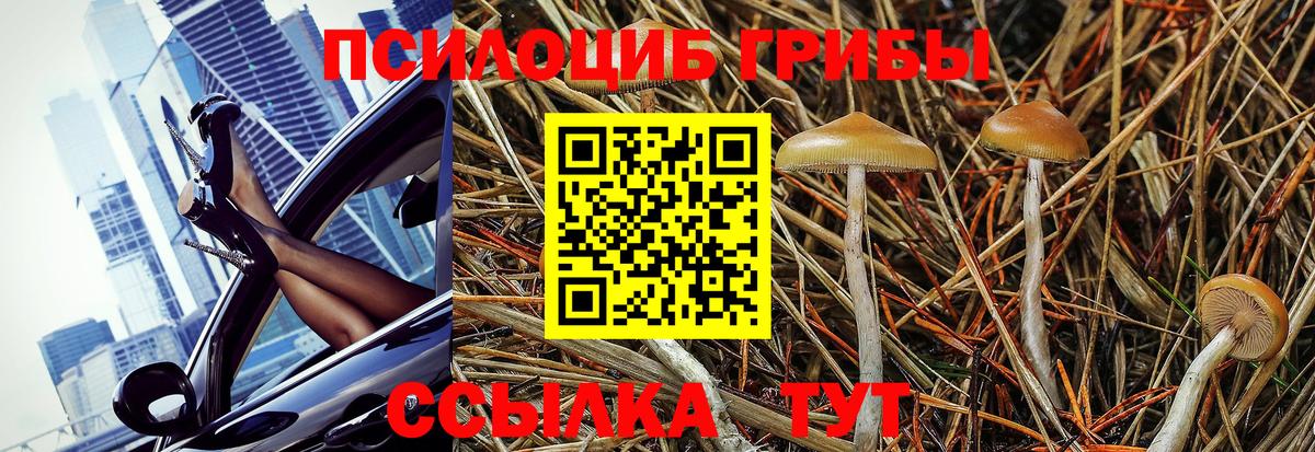 Галлюциногенные грибы мухоморы Елизово