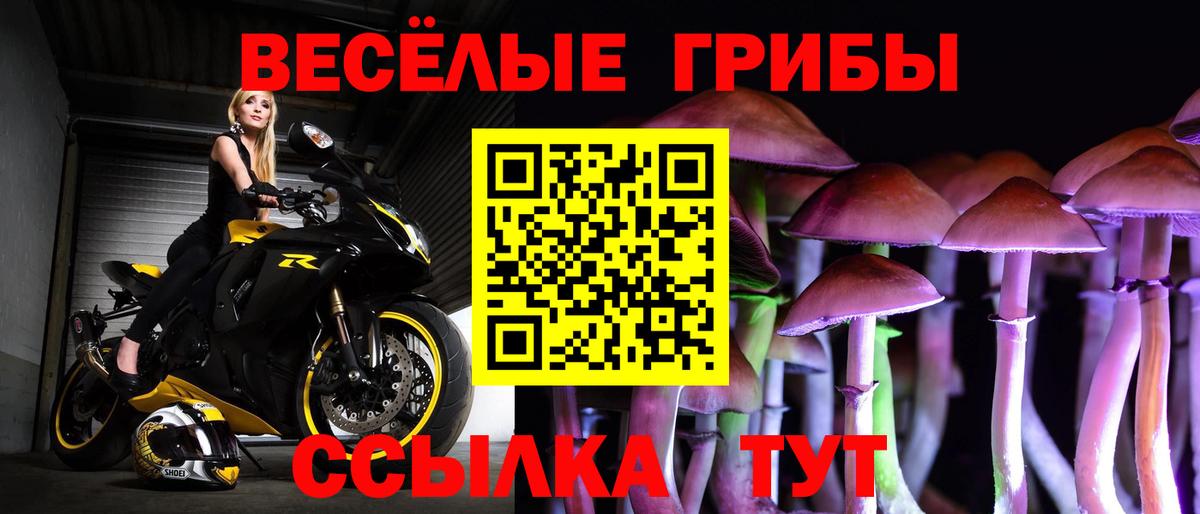 Елизово  Псилоцибиновые грибы GOLDEN TEACHER  Вход с VPN 